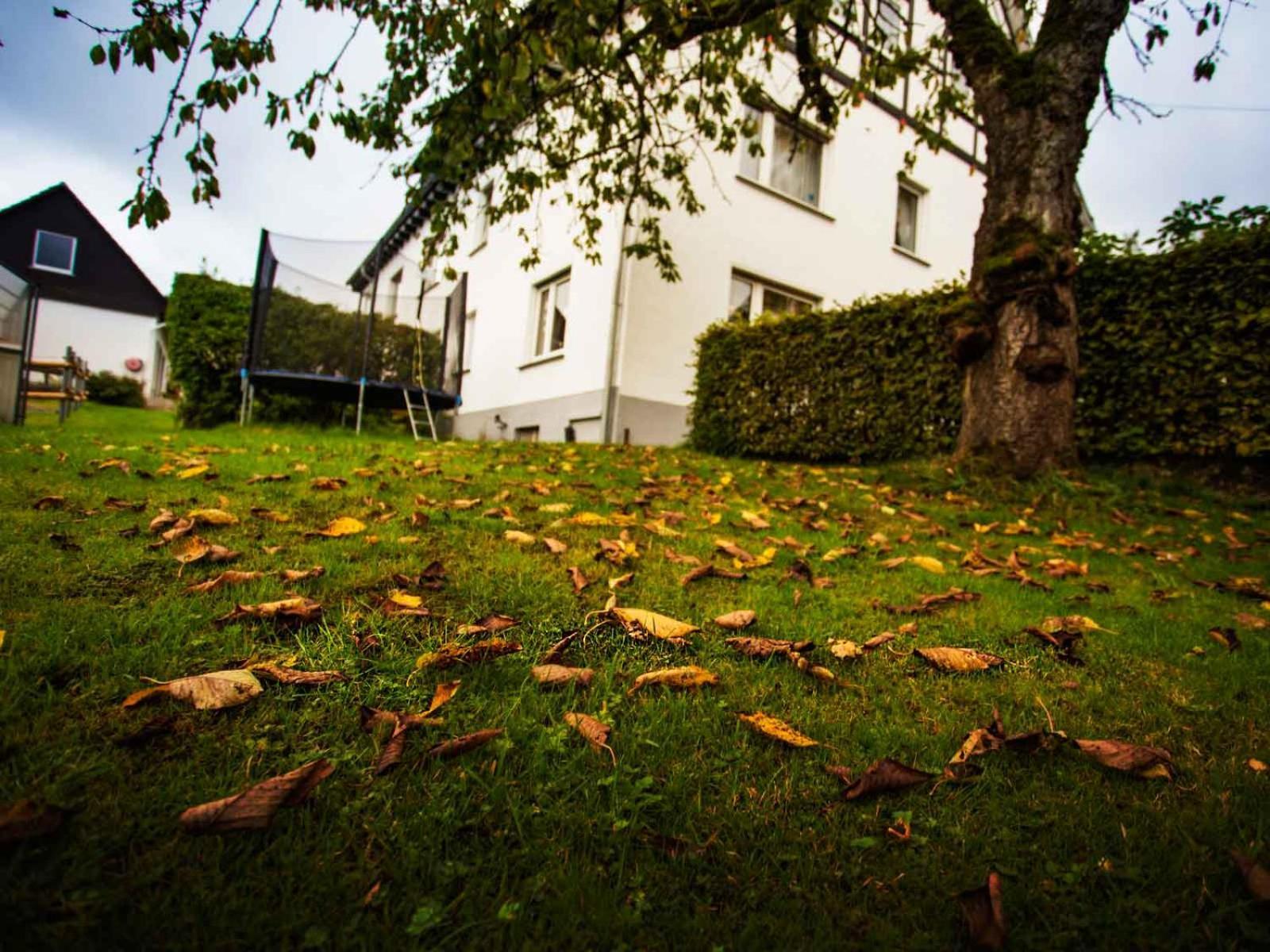 Ferienwohnung Hallmann Schmallenberg Exterior foto