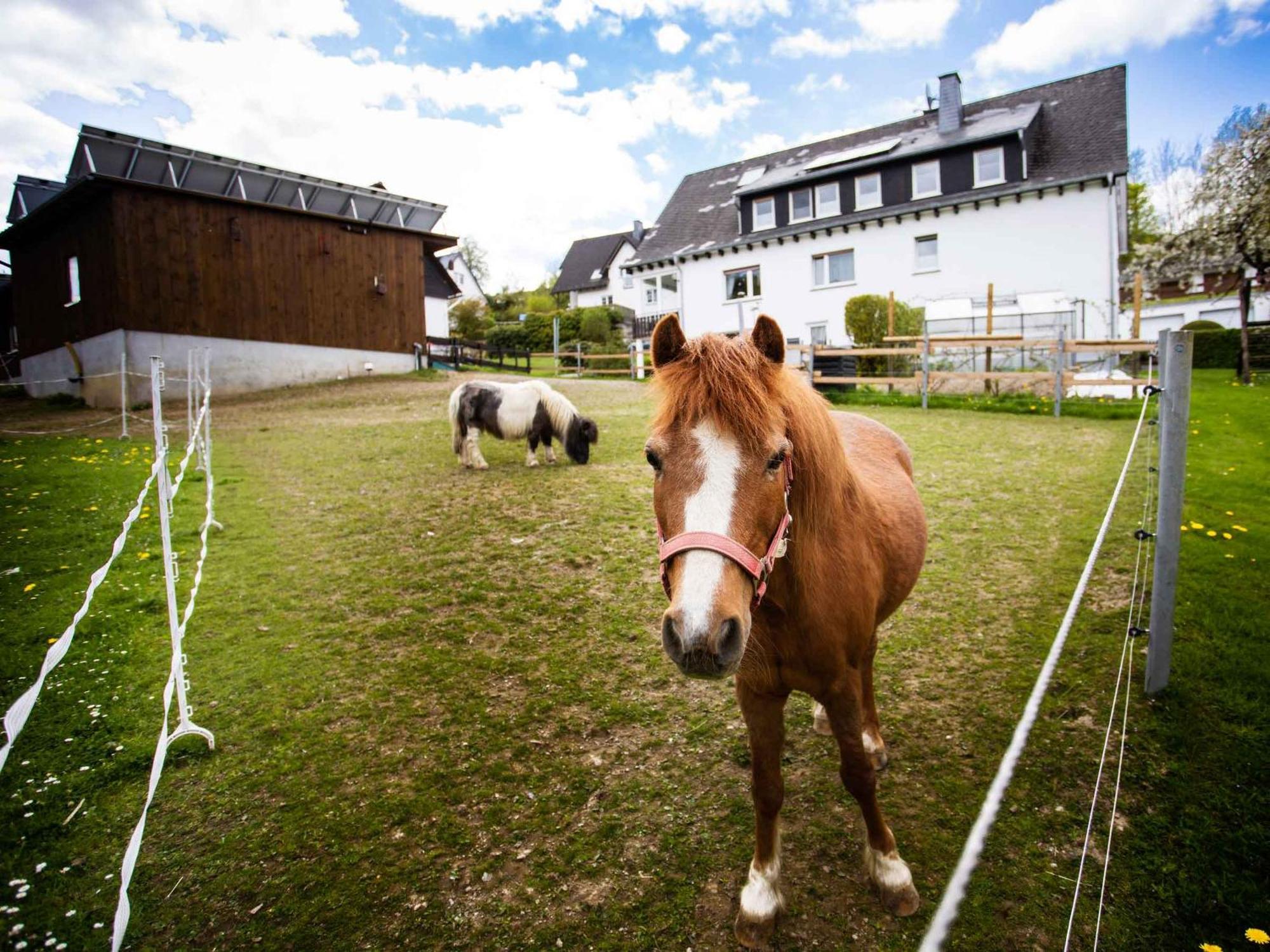 Ferienwohnung Hallmann Schmallenberg Exterior foto